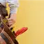 Handyman repair service in Charleston, SC for home fixes and improvements